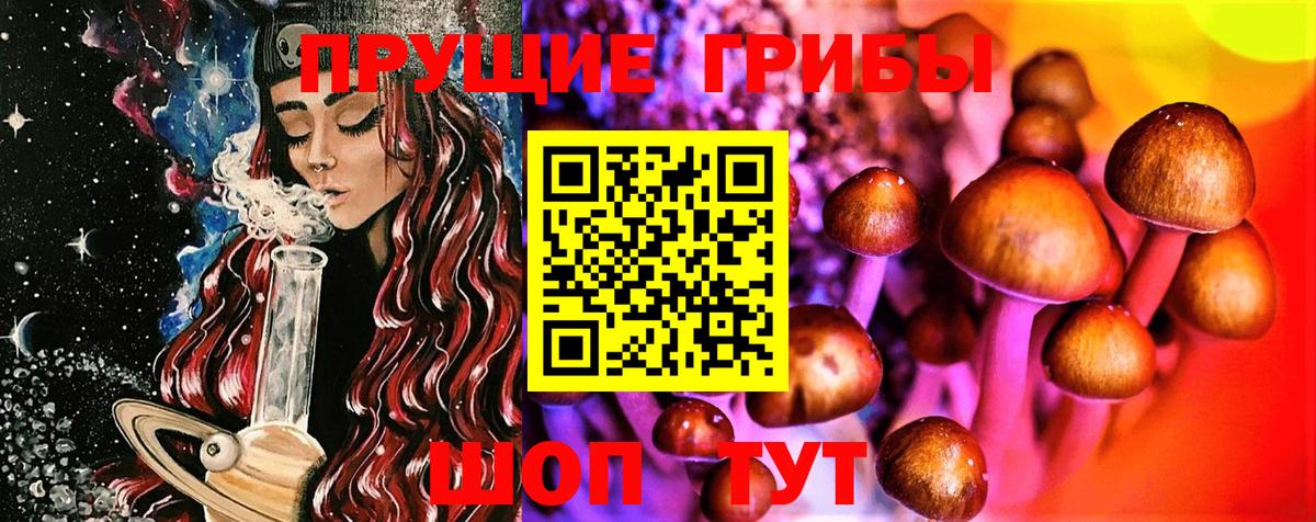 Будённовск  Галлюциногенные грибы Cubensis  Вход с VPN  Галлюциногенные грибы прущие грибы 