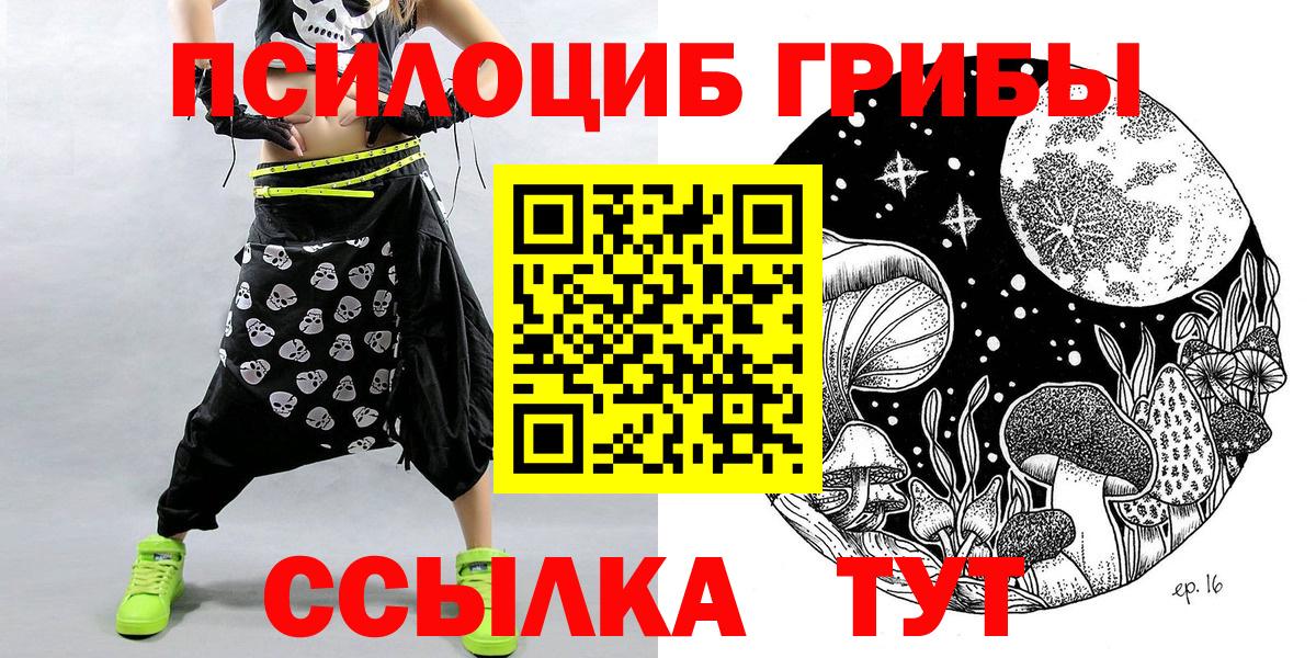 Псилоцибиновые грибы прущие грибы Будённовск